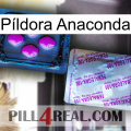 Píldora Anaconda 37